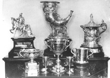 Photo of I'Ansons Trophy Collection